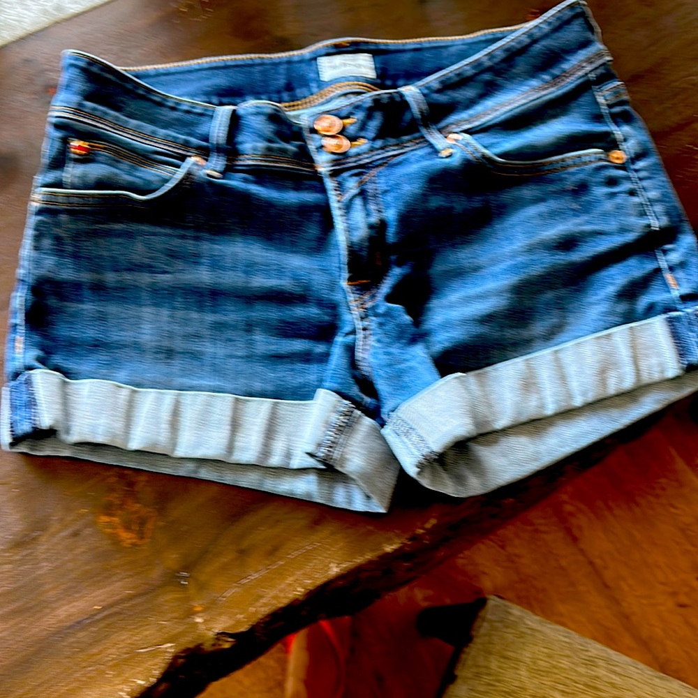 Hudson Denim Short